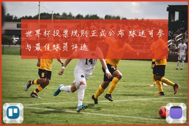 世界杯投票规则正式公布 球迷可参与最佳球员评选
