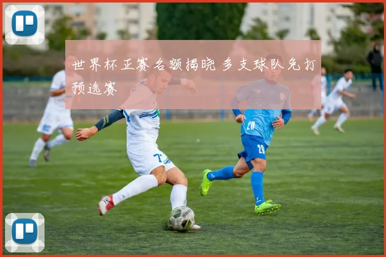 世界杯正赛名额揭晓 多支球队免打预选赛