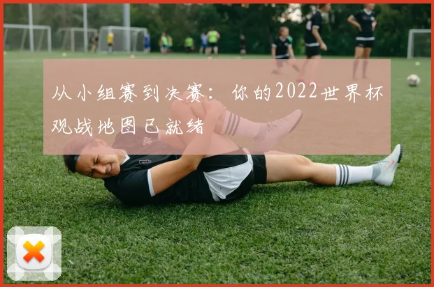 从小组赛到决赛：你的2022世界杯观战地图已就绪