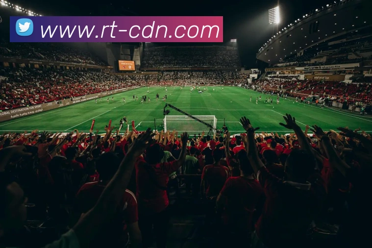 世界杯开户平台平台生态图